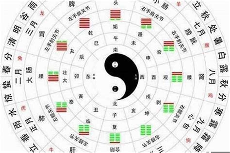 10月五行|10月五行属什么 (十月出生是金木水火土哪个)